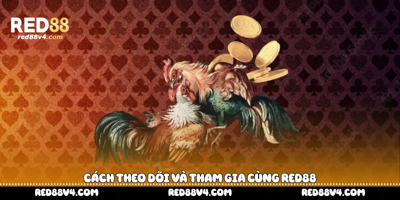 Cách theo dõi và tham gia cùng Red88