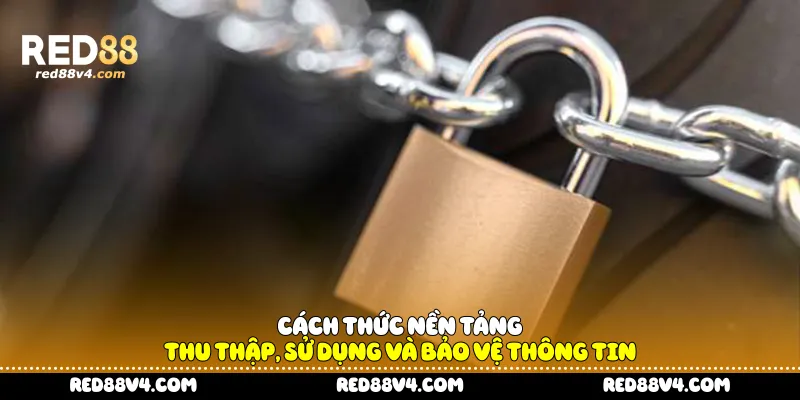 Cách thức nền tảng thu thập, sử dụng và bảo vệ thông tin