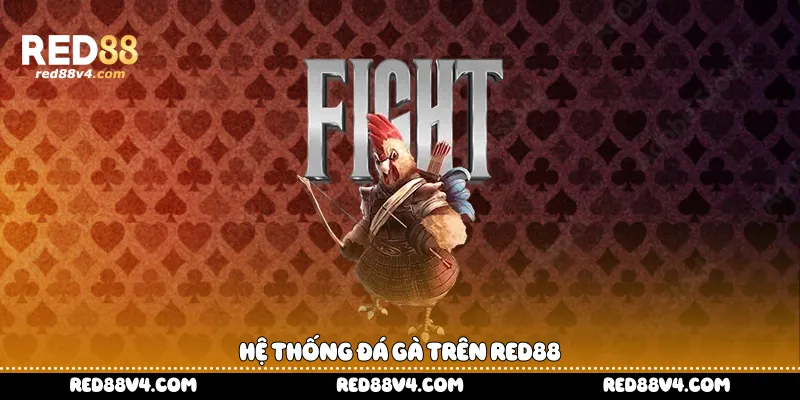 Hệ thống đá gà trên Red88