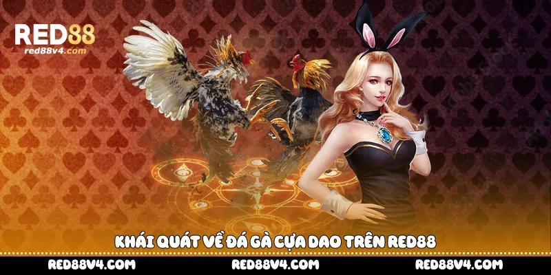 Khái quát về đá gà cựa dao trên Red88