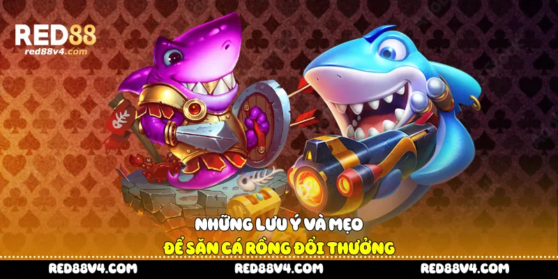 Những lưu ý và mẹo để săn cá rồng đổi thưởng