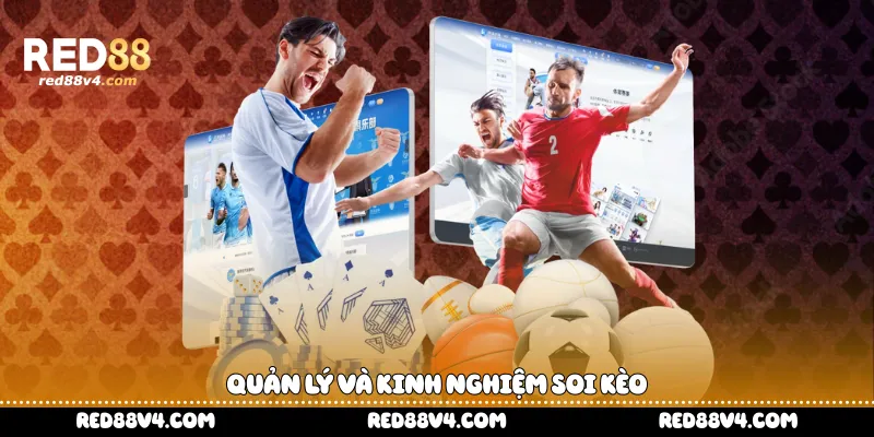 Quản lý và kinh nghiệm soi kèo