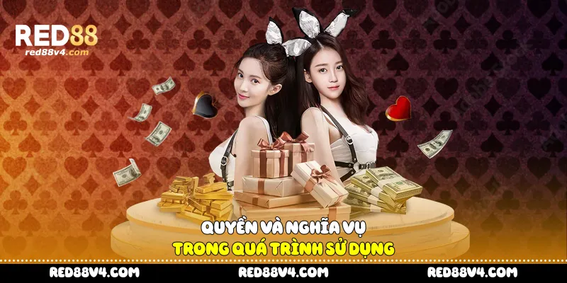 Quyền và nghĩa vụ trong quá trình sử dụng