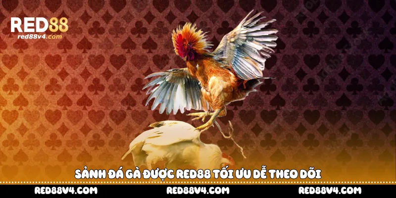 Sảnh đá gà được Red88 tối ưu dễ theo dõi