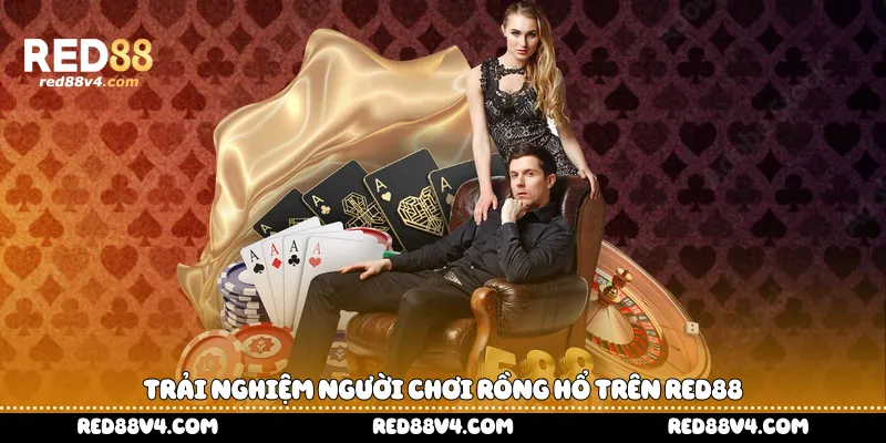 Trải nghiệm người chơi Rồng Hổ trên Red88